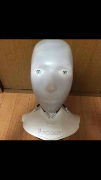 i ROBOT アイロボット サニー i.ROBOTアイロボット サニーヘッド付き