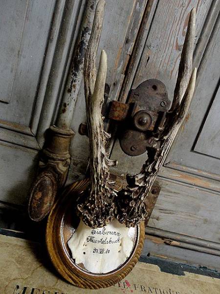 ◆サービス品 ドイツアンティーク　ハンティングトロフィー:Ｑ