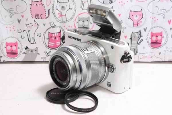 ★Wi-Fiでスマホに転送★オリンパス E-PL3 レンズキット