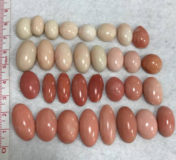 必見【天然本珊瑚等おまとめ】270ctサンゴ ルース 裸石 オーバル