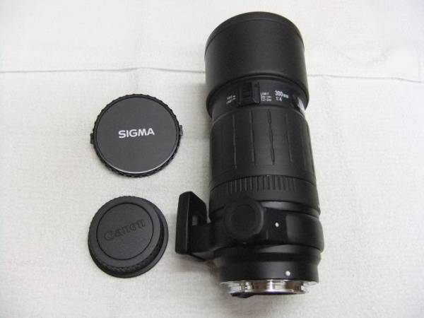 APO 300mm MACRO シグマ AF 300mm F4 Macro マクロ APO TELE キャノン用