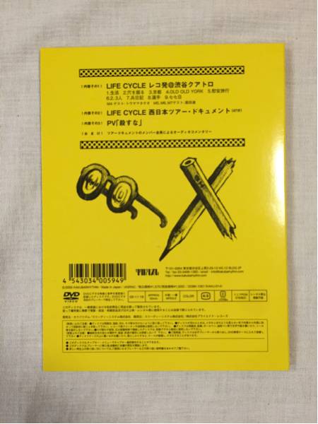DVD ぐうぜんのきろく SAKEROCK [DVD] ぐうぜんのきろくファイナル
