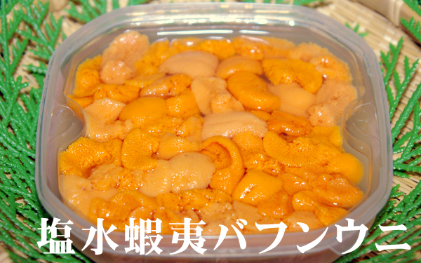 北海道産地直送★塩水蝦夷バフンウニ【100g×2P】