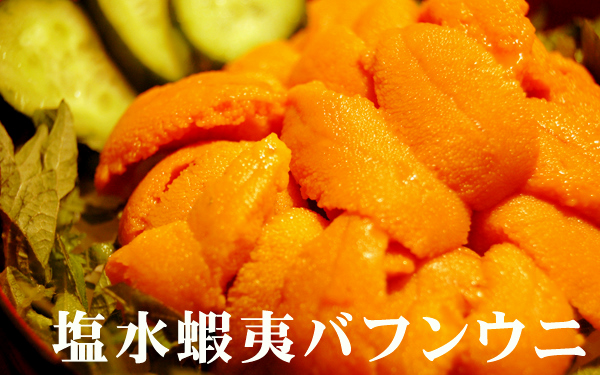 北海道産地直送★塩水蝦夷バフンウニ【100g×2P】