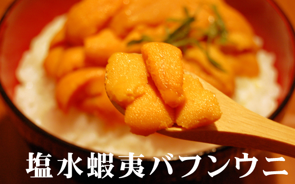 北海道産地直送★塩水蝦夷バフンウニ【100g×2P】