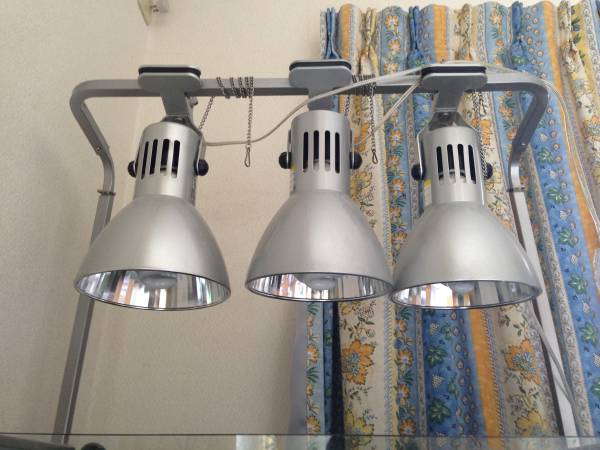 ヴォルテス３０W×３灯　ライトスタンド付き