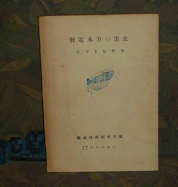 b211809217.1
