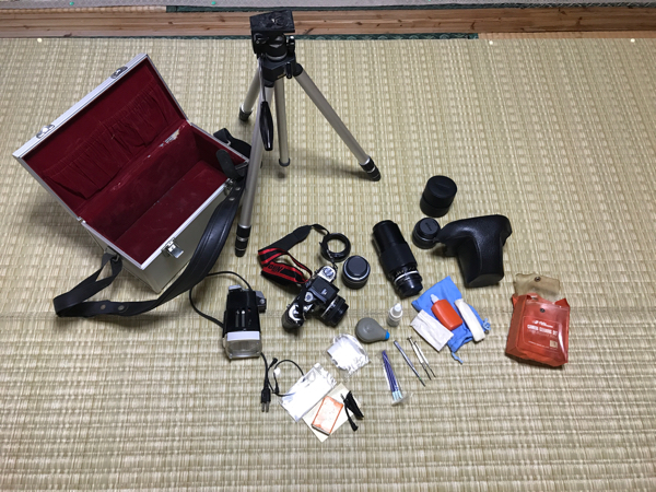 k236328991.2