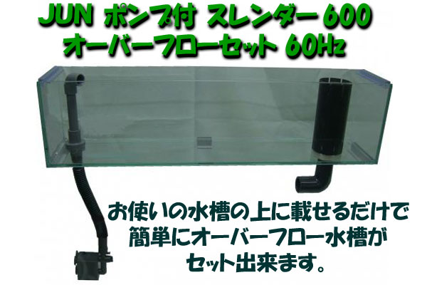 g204279495.1