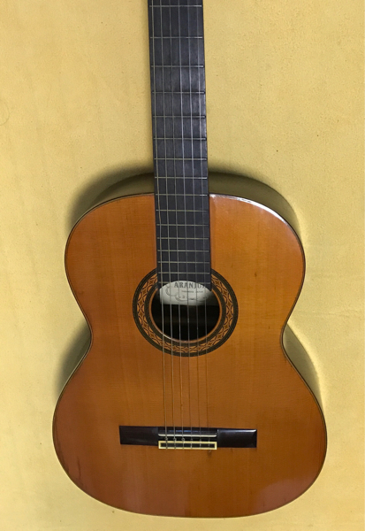 j448715379.2