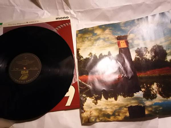 クロマニヨンズ ジャングル.ナイン レコード LP ブルーハーツ ハイロウズ