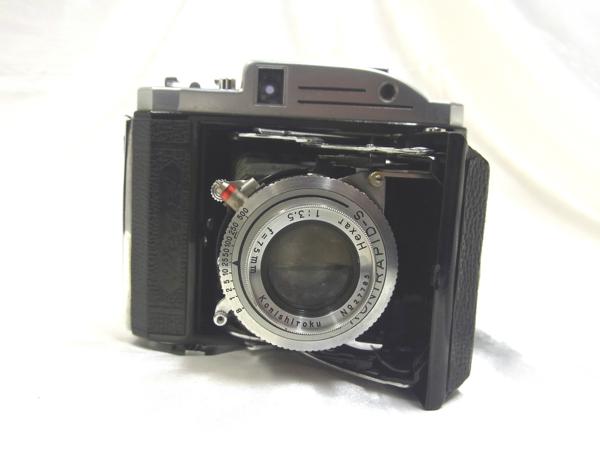 r174661175.1