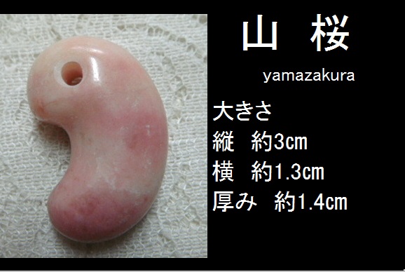 t542794897.1