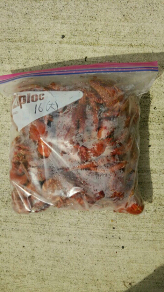 ヤドカリ 冷凍 釣り エサ 17匹 大 冷凍餌 売買されたオークション情報 Yahooの商品情報をアーカイブ公開 オークファン Aucfan Com