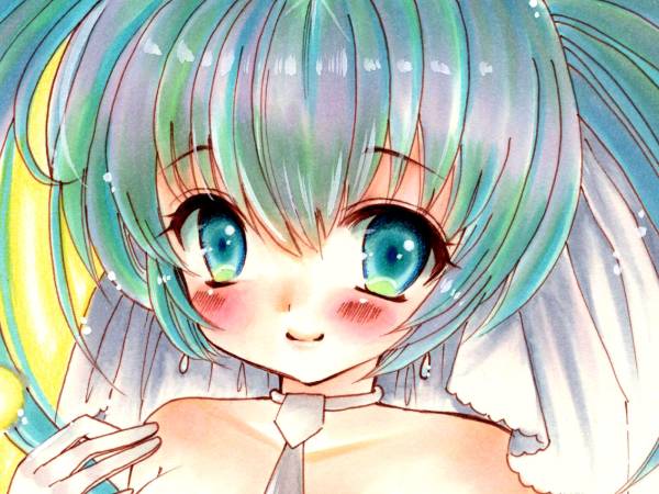 Ran 同人手描きイラストa4 初音ミク ウェディングドレス 原画 直筆 手描きイラスト 売買されたオークション情報 Yahooの商品情報をアーカイブ公開 オークファン Aucfan Com