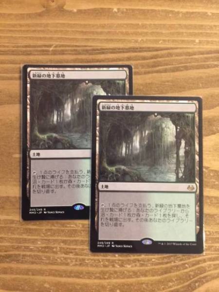 ☆MTG 新緑の地下墓地 日本語2枚SET!!☆ 内容 【公式通販】