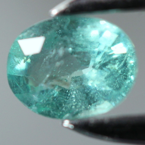 l374820984.1