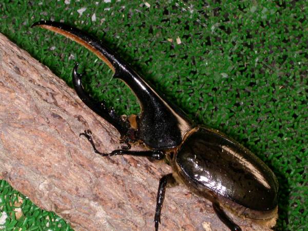 b283559925.1