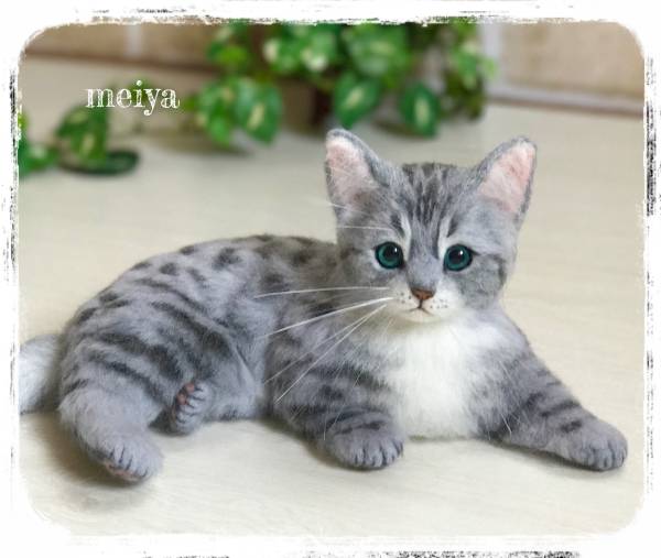 Meiya ハンドメイド 羊毛フェルト かわいい子猫 エジプシャンマウ リアルサイズ 羊毛フェルト 売買されたオークション情報 Yahooの商品情報をアーカイブ公開 オークファン Aucfan Com Meiya ハンドメイド 羊毛フェルト かわいい子猫 エジプシャンマウ リアルサイズ 羊毛フェルト 売買されたオークション情報 Yahooの商品情報をアーカイブ公開 オークファン Aucfan Com