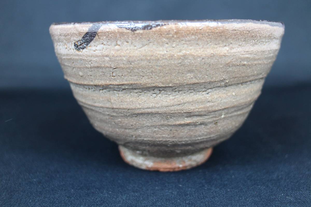r150684636.1
