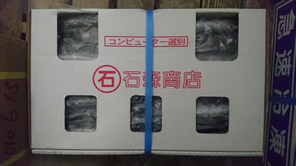 x489009715
