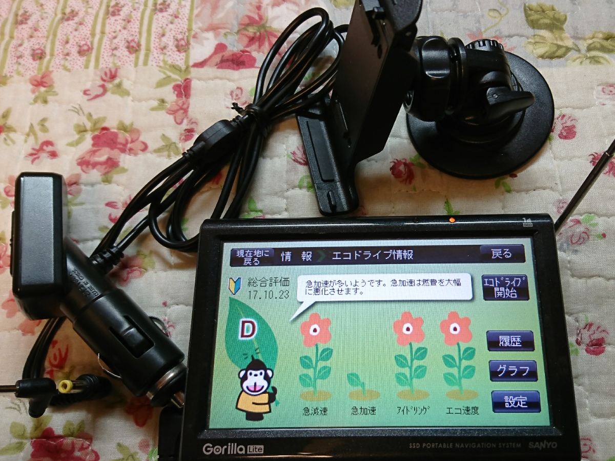 u135657275.1
