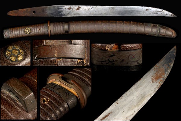 b253036654.3