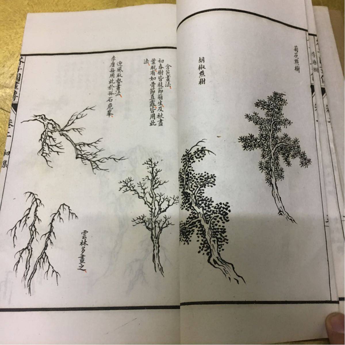 ⁄ | 芥子園画伝 第一册・第二册 初集 芥子園畫傳初集 古本、中古 ⁄ | 芥子園画伝 第一册・第二册 初集 芥子園畫傳初集 古本、中古