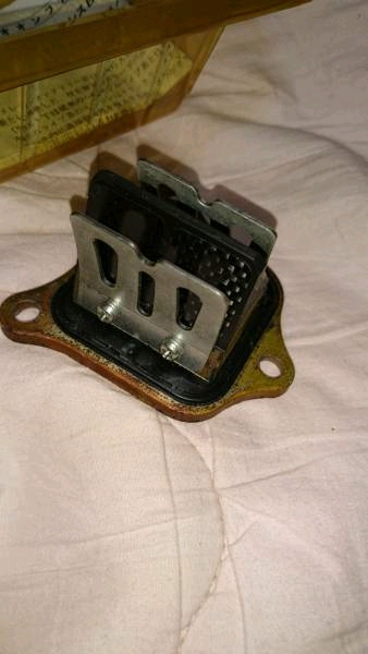 f197341632.1