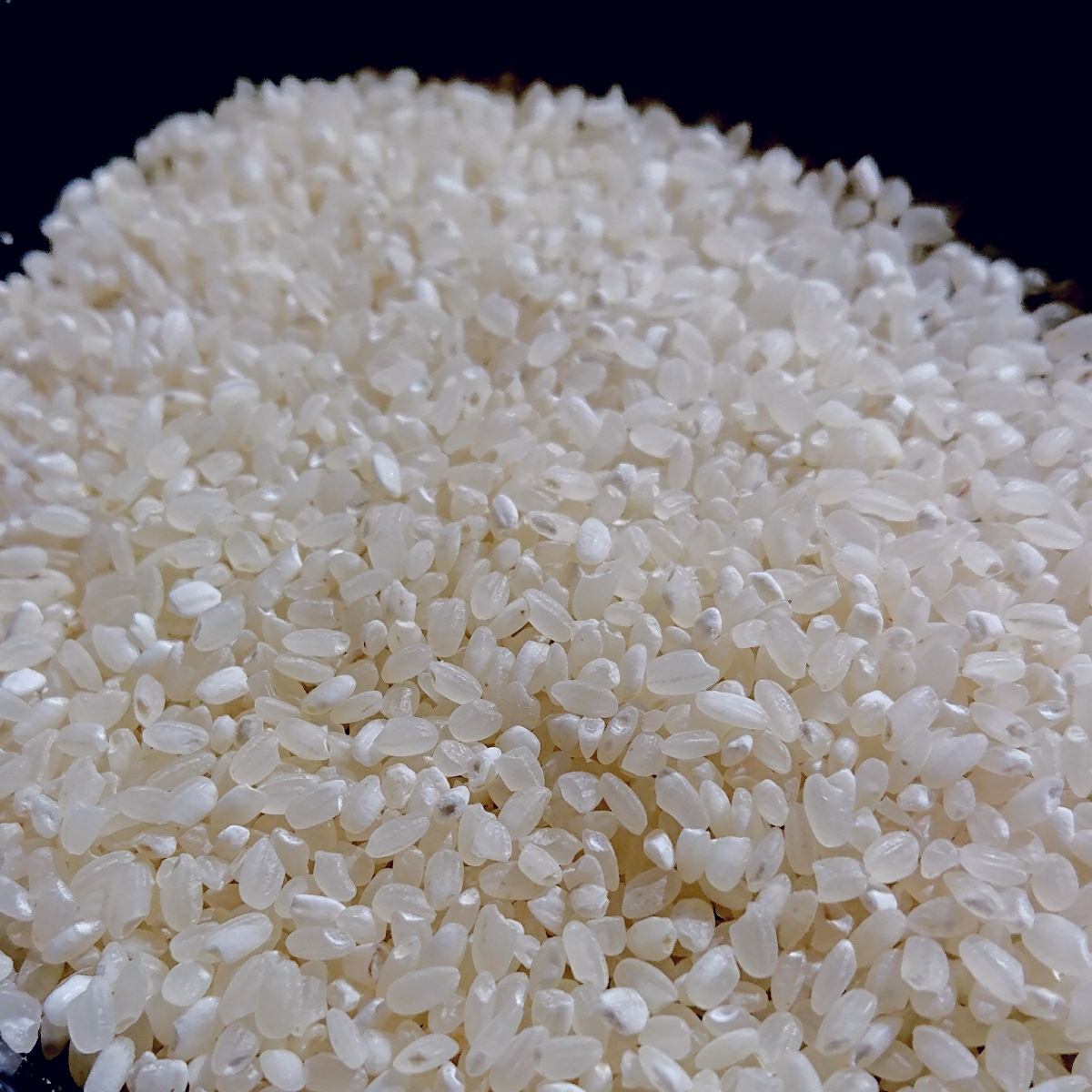 平成29年産 新米 訳あり コシヒカリ27㎏ 小粒 栃木県日光市産 中米 