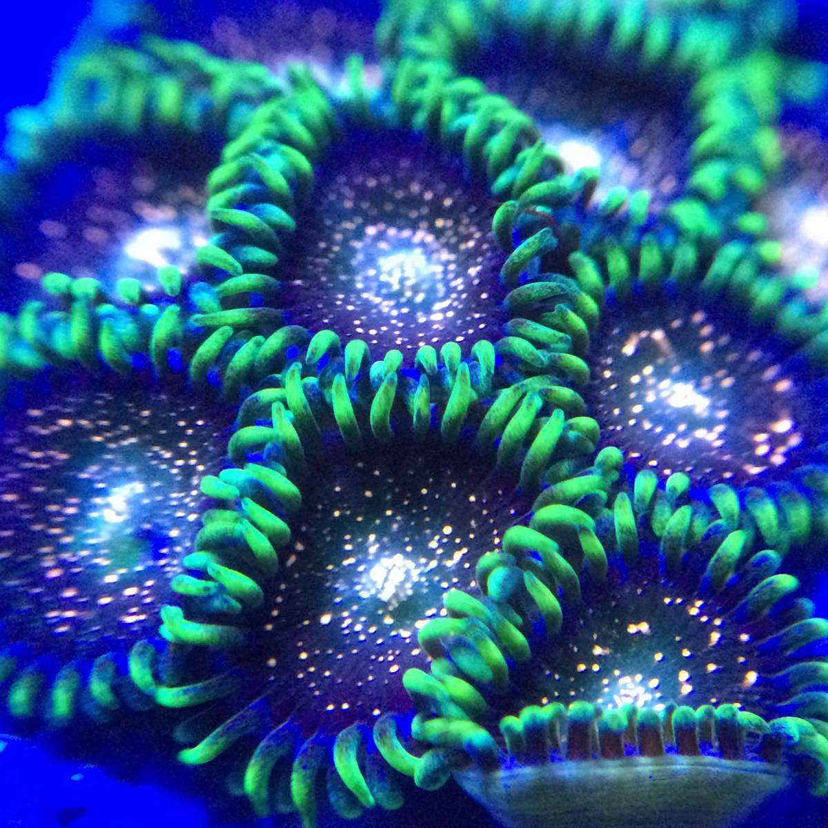 m217751562