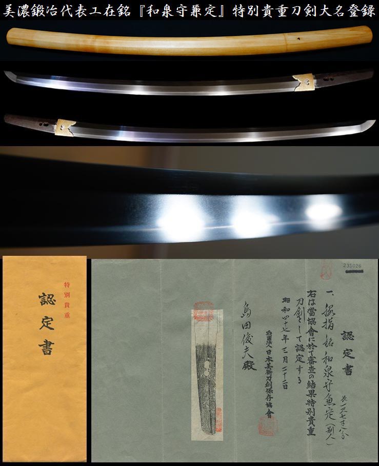 h262042127.2