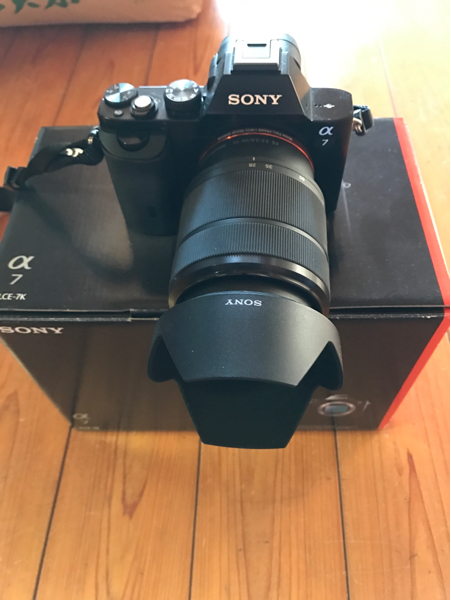 sony α7 | SAMOKRASKA.RU