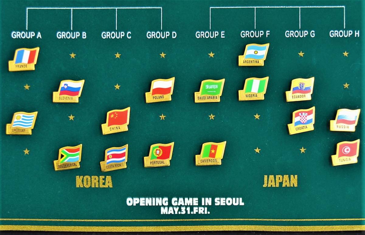 FIFA 日韓 ワールドカップ 2002 タペストリー 国旗 ピンバッジ付き