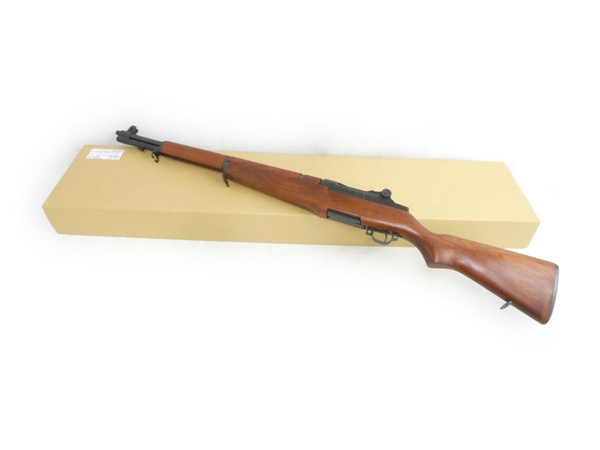 m293024890.1