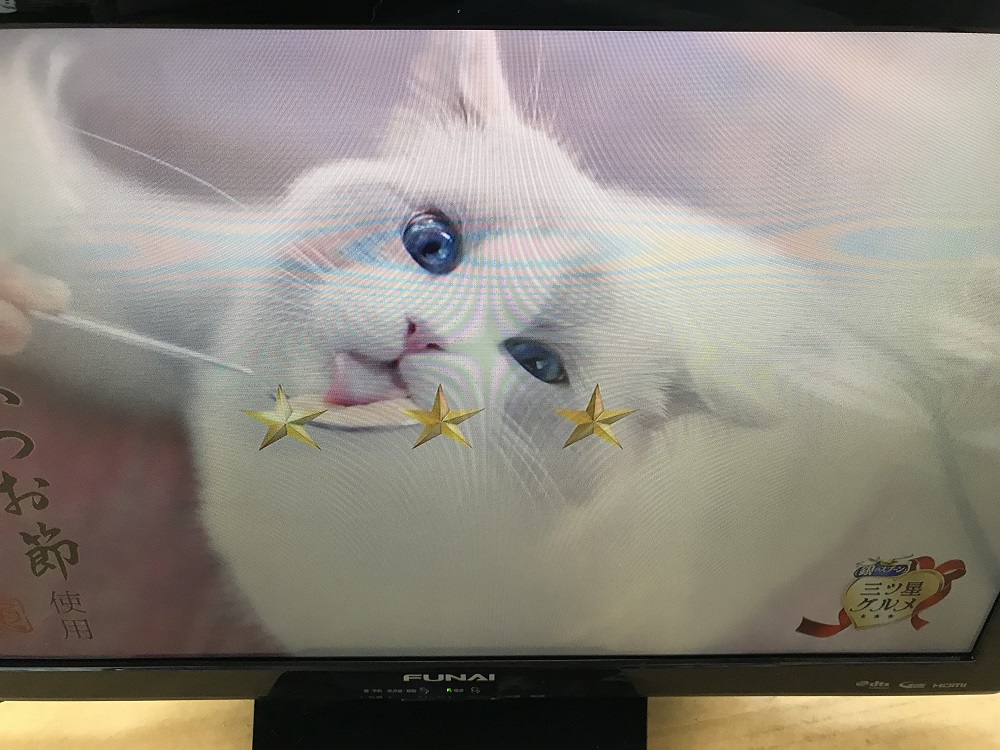 FUNAI 船井電機 液晶 テレビ FL-24HB2000 24型 2017年製 引取可 miniB-CAS