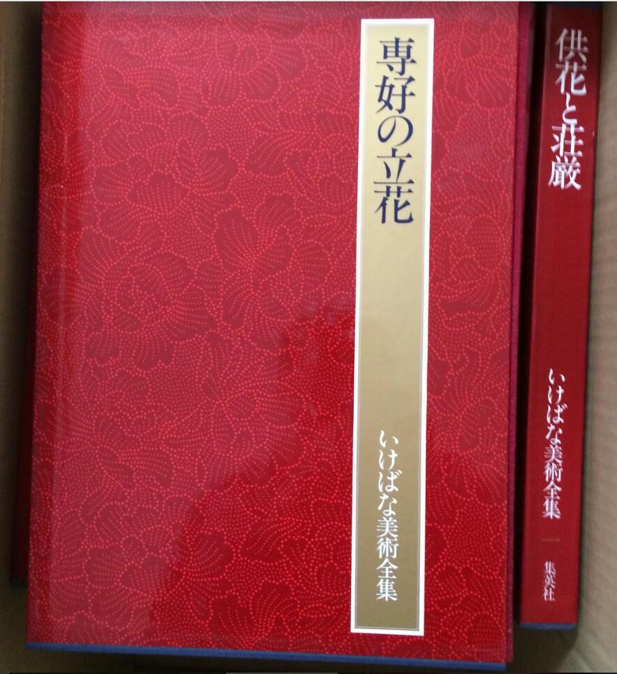 いけばな美術全集 全10冊揃い 集英社 昭和57年11月発行 即決