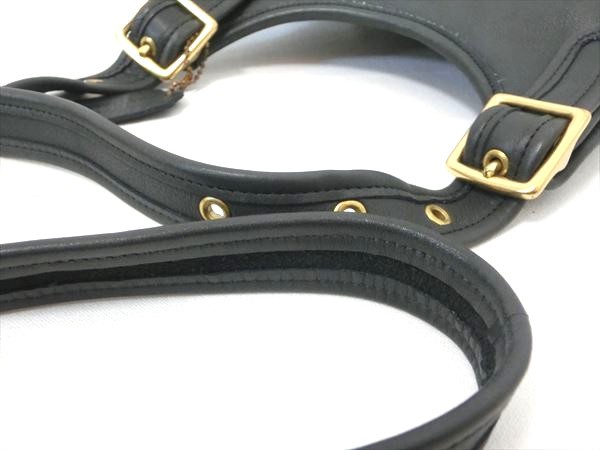 美品！ コーチ ショルダーバッグ ポシェット 斜め掛け オールレザー