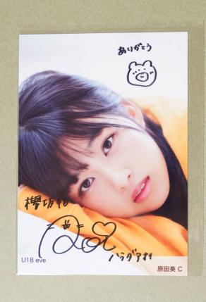 欅坂46 サイン入り ファイル 原田葵 値下げ可能！ : 櫻坂46 原田葵 直筆