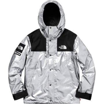 Supreme The North Face Metallic Mountain Parka Silver XL 18SS シュプリーム ノースフェイス 銀