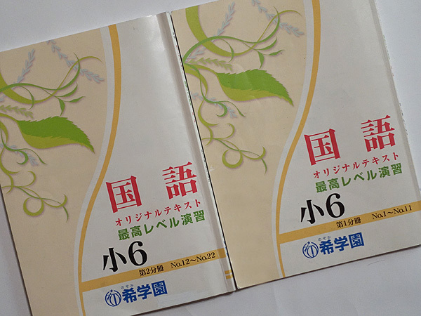 本 希学園 小6 最高レベル演習 国語