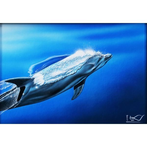 イルカ 絵画 絵画 モダン アートパネル アート インテリア 雑貨