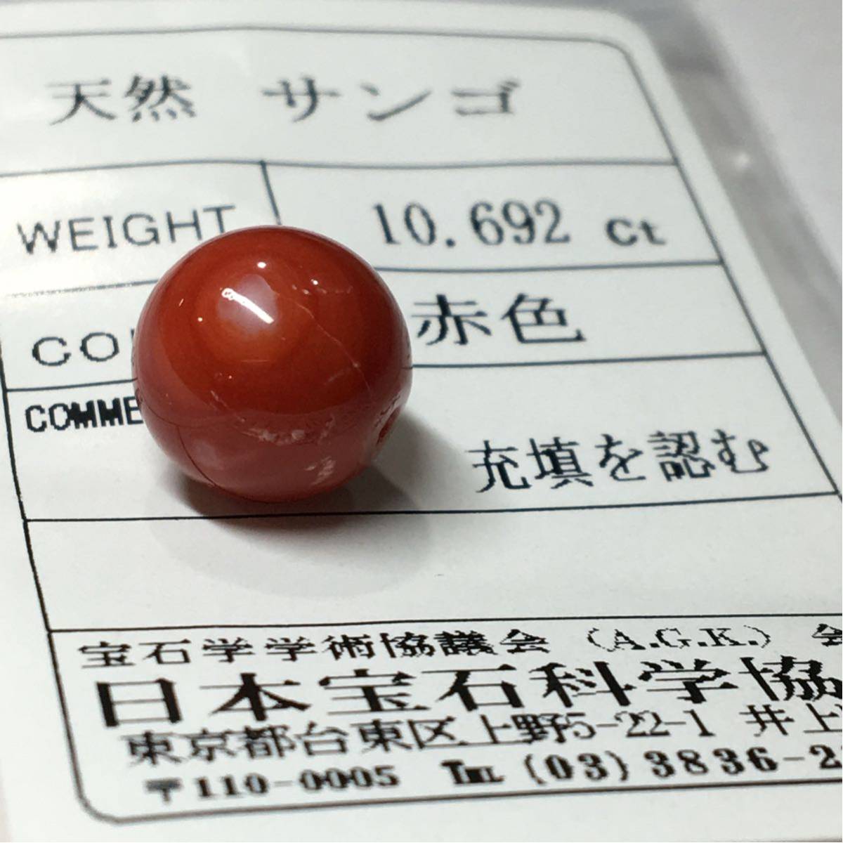 TOP】血赤珊瑚 サンゴ ルース 片穴 12.3mm 指輪 リング TOP】血赤珊瑚 サンゴ ルース 片穴 12.3mm 指輪 リング