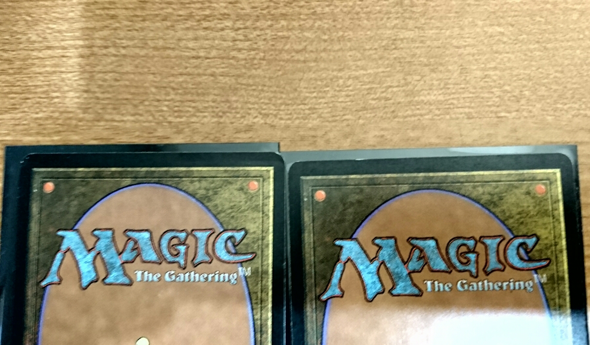 the 適者生存 of MTG Survival Fittest (Survival Fittest／適者生存