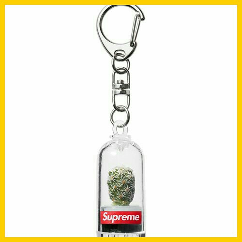 18ss Supreme Cactus Keychain キーチェーン キーホルダー サボテン 2018 即決 国内正規品 新品未使用