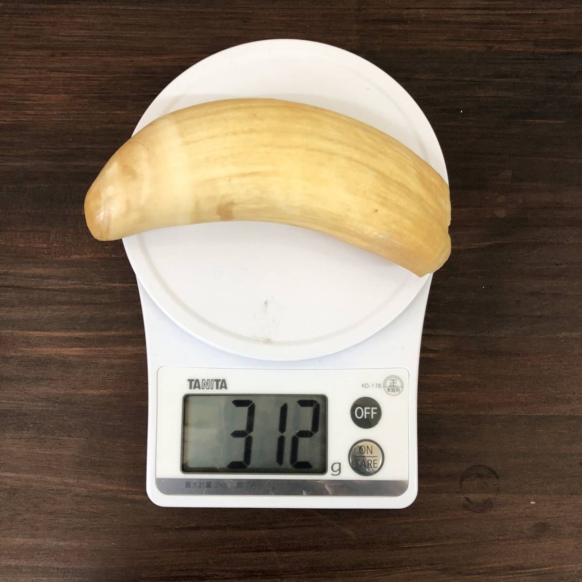 鯨歯 牙 マッコウクジラ 根付 材料 貴重品 総重量312g A-04