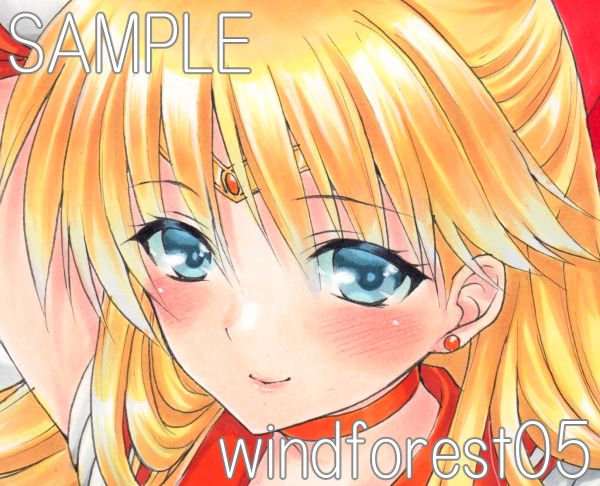 セーラーヴィーナス》 同人手描きイラスト 《愛野美奈子》 A4 ケント紙