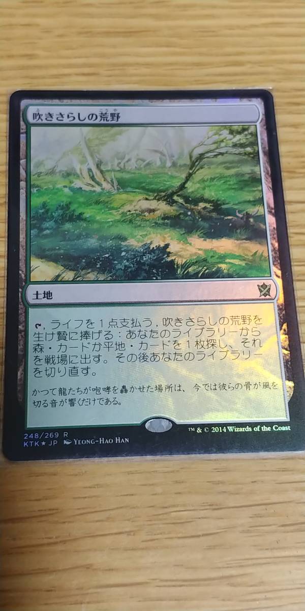 吹きさらしの荒野/Windswept Heath ONS 日本語版 Foil 吹きさらしの