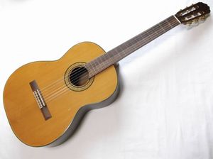 タカミネ ギターのYahoo!オークション(旧ヤフオク!)の相場・価格を見る 