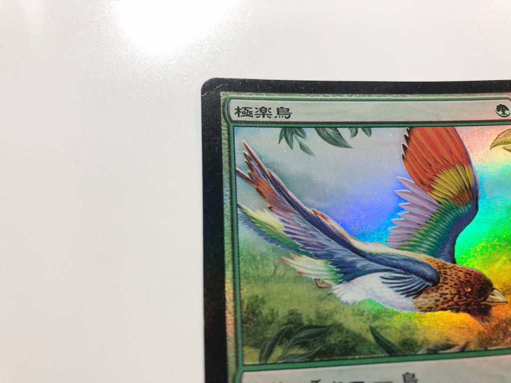 極楽鳥 日本語 mtg 8版 8th foil｜Yahoo!フリマ（旧PayPayフリマ） of MTG